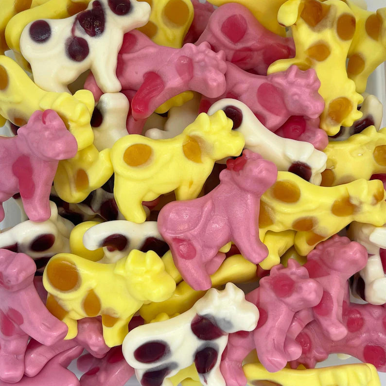 vaches