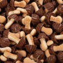 champignon  chocolat (par10)