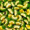 tranche citron