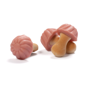 Champignon fraise (10)